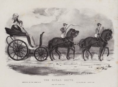 El Paseo Real de J.C. Wilson